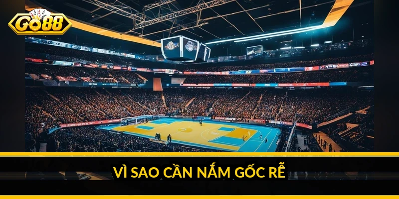 Vì sao cần nắm gốc rễ